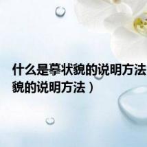 什么是摹状貌的说明方法(摹状貌的说明方法)