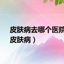 皮肤病去哪个医院看（皮肤病）