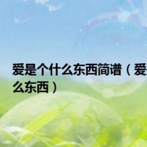 爱是个什么东西简谱(爱是个什么东西)