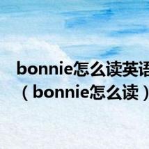 bonnie怎么读英语发音(bonnie怎么读)