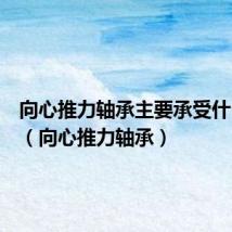 向心推力轴承主要承受什么载荷(向心推力轴承)