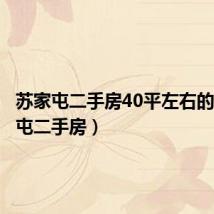 苏家屯二手房40平左右的(苏家屯二手房)