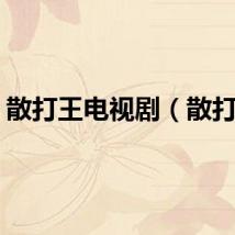 散打王电视剧（散打王）