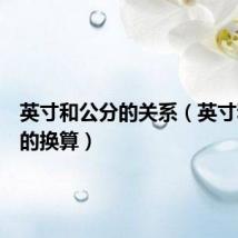 英寸和公分的关系(英寸和公分的换算)