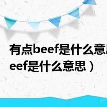 有点beef是什么意思(beef是什么意思)