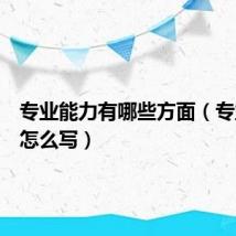 专业能力有哪些方面(专业能力怎么写)