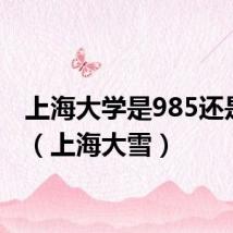 上海大学是985还是211(上海大雪)
