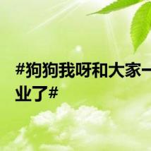 #狗狗我呀和大家一起毕业了#