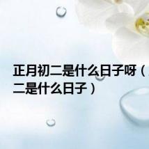 正月初二是什么日子呀(正月初二是什么日子)