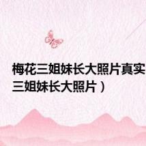 梅花三姐妹长大照片真实(梅花三姐妹长大照片)