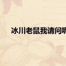 冰川老鼠我请问呢