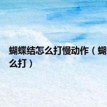 蝴蝶结怎么打慢动作（蝴蝶节怎么打）