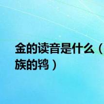 金的读音是什么（金目族的鸨）