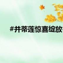 #并蒂莲惊喜绽放#