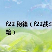 f22 秘籍(f22战斗机秘籍)