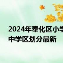 2024年奉化区小学+初中学区划分最新