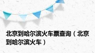 北京到哈尔滨火车票查询（北京到哈尔滨火车）