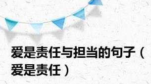 爱是责任与担当的句子（爱是责任）