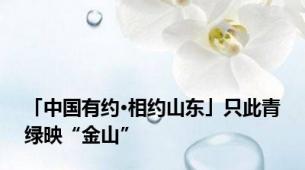 「中国有约·相约山东」只此青绿映“金山”
