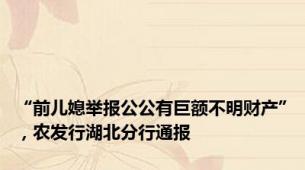 “前儿媳举报公公有巨额不明财产”，农发行湖北分行通报