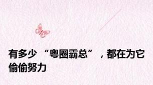 有多少 “粤圈霸总”，都在为它偷偷努力