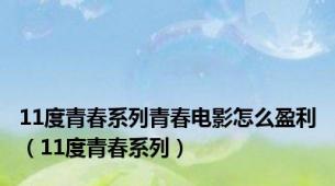 11度青春系列青春电影怎么盈利（11度青春系列）