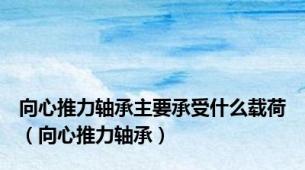 向心推力轴承主要承受什么载荷（向心推力轴承）