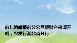 前儿媳举报前公公巨额财产来源不明，农发行湖北省分行