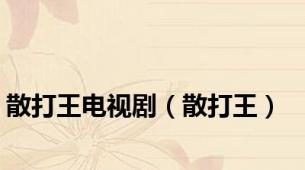 散打王电视剧（散打王）