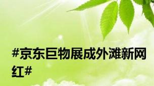 #京东巨物展成外滩新网红#