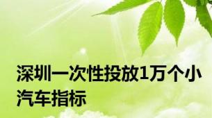 深圳一次性投放1万个小汽车指标