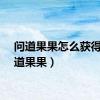 问道果果怎么获得（问道果果）