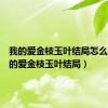 我的爱金枝玉叶结局怎么样（我的爱金枝玉叶结局）