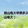 佛山电大学费多少（佛山电大）