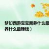 梦幻西游宝宝窝养什么最赚钱（养什么最赚钱）