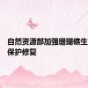 自然资源部加强珊瑚礁生态系统保护修复