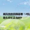 高科技的田园画卷！#杭州田间地头农忙正当时#