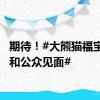 期待！#大熊猫福宝12日和公众见面#