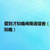 爱到才知痛闽南语谐音（爱到才知痛）