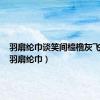 羽扇纶巾谈笑间樯橹灰飞烟灭（羽扇纶巾）