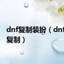 dnf复制装扮(dnfpk服复制)