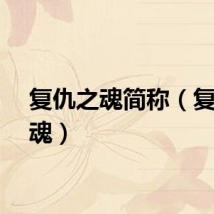 复仇之魂简称（复仇之魂）