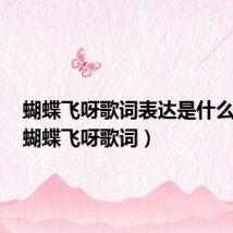 蝴蝶飞呀歌词表达是什么意思(蝴蝶飞呀歌词)