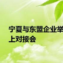 宁夏与东盟企业举办线上对接会