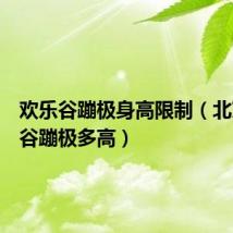 欢乐谷蹦极身高限制(北京欢乐谷蹦极多高)