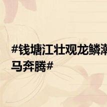 #钱塘江壮观龙鳞潮似万马奔腾#