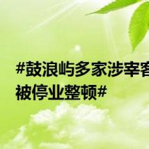 #鼓浪屿多家涉宰客单位被停业整顿#