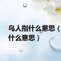 鸟人指什么意思（鸟人什么意思）