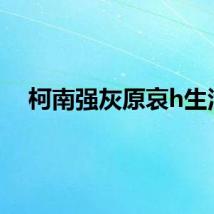 柯南强灰原哀h生活