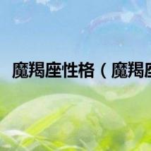 魔羯座性格（魔羯座）
